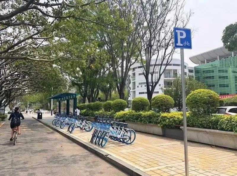 東莞25人被拘留，只因為他們對共享單車做了這些…